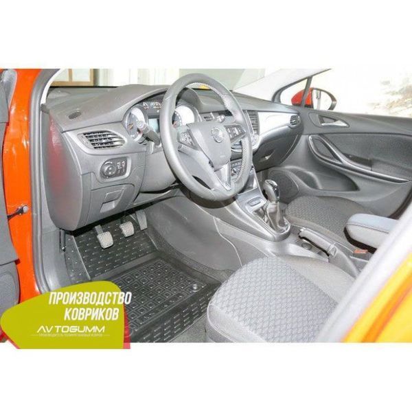 Автомобільні килимки в салон для Opel Astra K AG11541 фото