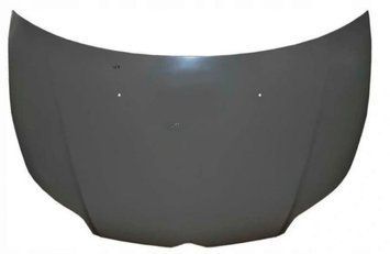 Капот 05-09 сталевий Citroen C4 2005-2010 7901L1 FP2008280 фото