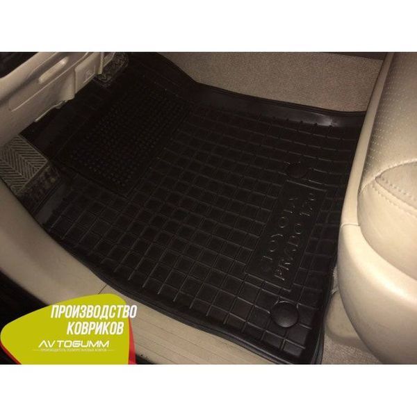 Автомобільні килимки в салон для Toyota Land Cruiser 120 (Prado) AG11309 фото