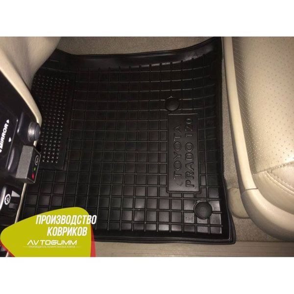 Автомобільні килимки в салон для Toyota Land Cruiser 120 (Prado) AG11309 фото