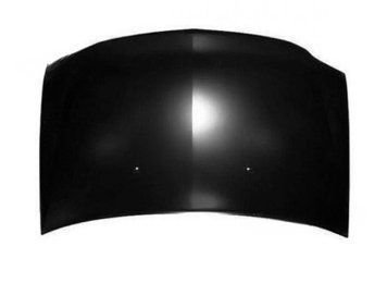 Капот Renault Sandero 2008-2013 6001551350 FP5618280/1 фото