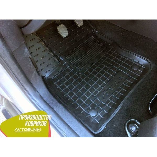 Автомобільні килимки в салон для Ford Focus (2011>) (EU/USA) AG11178 фото