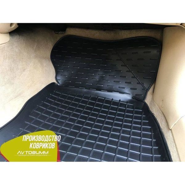 Автомобільні килимки в салон для Volkswagen Passat B 5 AG11332 фото