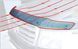 Дефлектор капоту Ford Focus 1998-2005 / довгий Vip Tuning FR04 FR04 фото 2