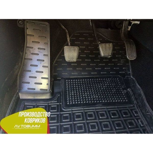 Автомобільні килимки в салон для Toyota CH-R AG11603 фото