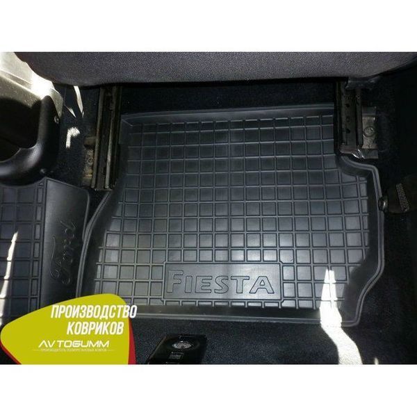 Автомобільні килимки в салон для Ford Fiesta (2005-2009) AG11181 фото