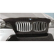 Дефлектор капоту BMW Х6 (E71) 2008-2015 Vip Tuning BM14 BM14 фото 1